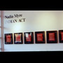 Indian Acts Nadia Myre detail showing 5 plus frames and vinyl on east wall grunt gallery